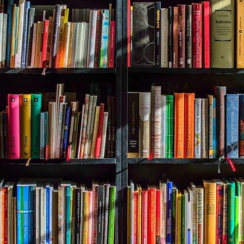 Lotto 300 libri stock misto