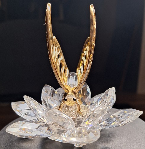 Rarissima farfalla oro