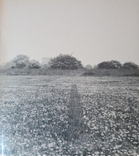 ARTE POVERA Germano Celant