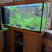 Acquario Juwel Rio 450 colore