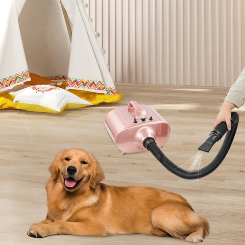 Asciugacapelli per animali