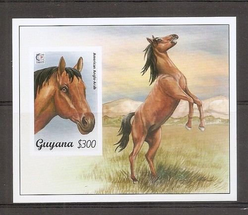 Guyana 2949 cavallo - guyana, #