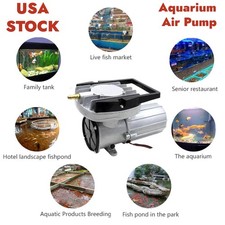 Pompa Compressore Aria, Aeratore Idroponico Acquario Pesci Serbatoio Stagno DC 12V 160 L/M