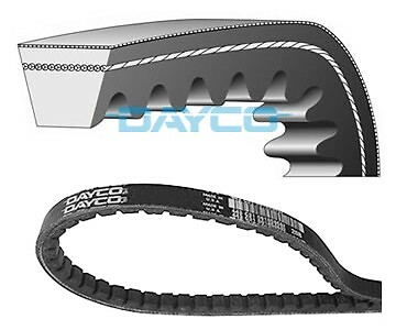 Cinghia trapezoidale dayco - cinghia,