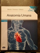 Martini, Timmons, Tallitsch -