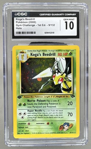 Koga beedrill gym challenge - koga's,