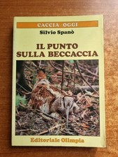 SPANÒ -IL PUNTO SULLA