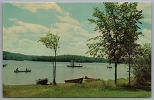 Cartolina Iron River Michigan Be Wa Bic Park piattaforma di nuoto canoa c1958