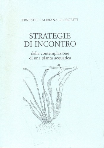 Strategie incontro - di,