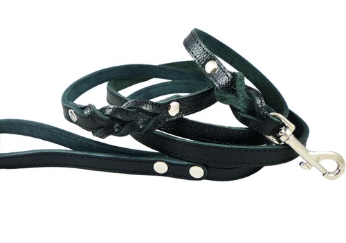Guinzaglio per cani vera - guinzaglio,