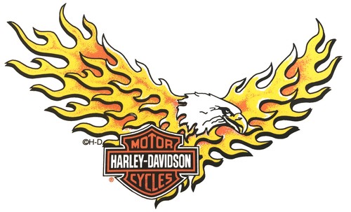 Adesivo harley davidson aquila - harley-davidson,