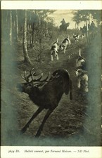 RPPC Hallali Running by