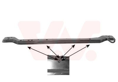 Traversa van wezel - traversa, anteriore