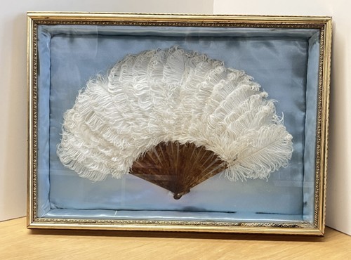 Antico ventaglio piuma di - ventaglio,