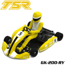 Team Saxo GK-200 1/8 RC Go