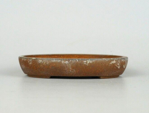 Vaso per bonsai giapponese