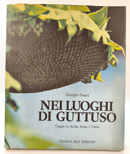 Nei luoghi guttuso giorgio - luoghi,