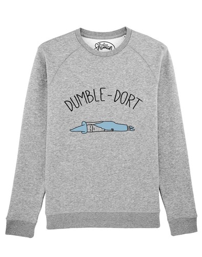 Sweatshirt homme couleur gris