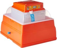 Incubatrice Covatutto 24 Digitale