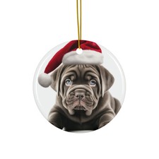 Decorazione albero di Natale