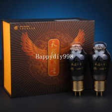 1 coppia abbinata Shuguang Natural Sound 300B-T AMP tubo vuoto 300B audio fai da te