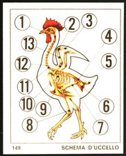 Il mondo degli ANIMALI (1970)