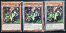 Playset carte - 3,