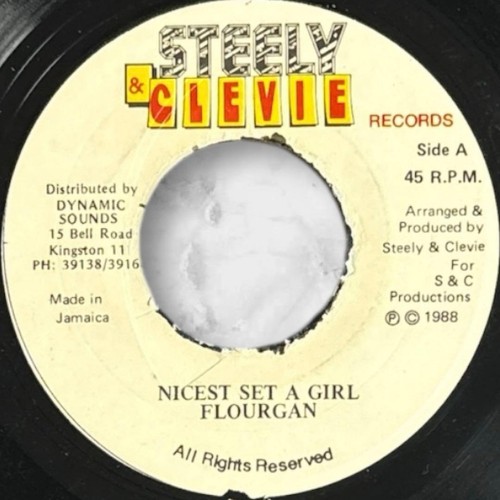 Reggae record steely clevie - record,