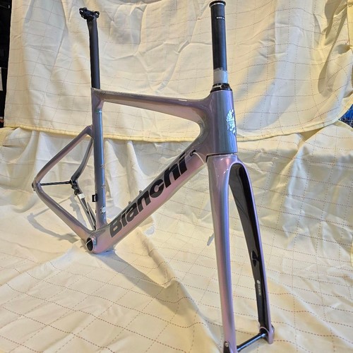 Bianchi aria disc frameset - bianchi,