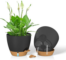 Vaso per Piante Da 20 Cm Con