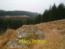 Photo 6x4 Forest ride looking