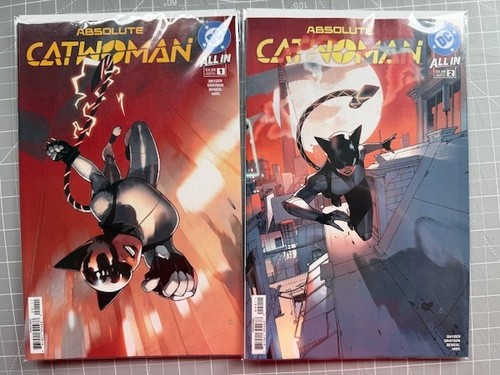 Absolute catwoman 3 a - catwoman,