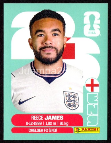 Reece james eng - reece,