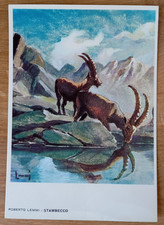 CARTOLINA STAMBECCO CACCIA ROBERTO LEMMI CACCIATORE EDITORIALE OLIMPIA