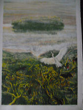 ROBERT CARROLL LITOGRAFIA a