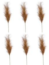 Set Di 6 Rami Di Pampas