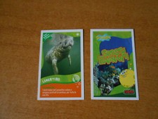 FIGURINA CARD SPONGEBOB CRAI -