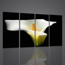 QUADRI MODERNI CALLE QUADRO MODERNO XX  ARREDAMENTO CASA UFFICIO STAMPA SU TELA 