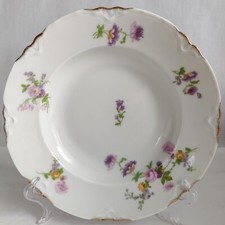 Piatti vintage 2 unità Thomas