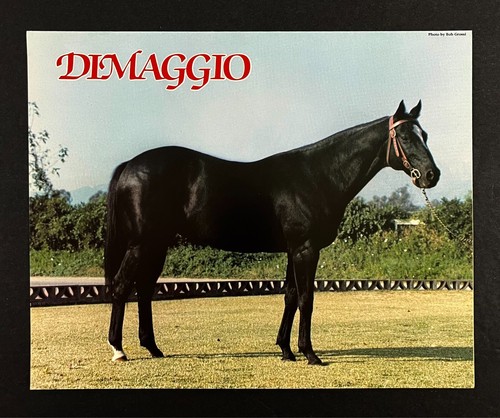 1988 ontario dimaggio old - 1988,