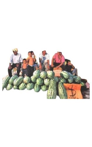 Dumont guida turistica - turistica, messico