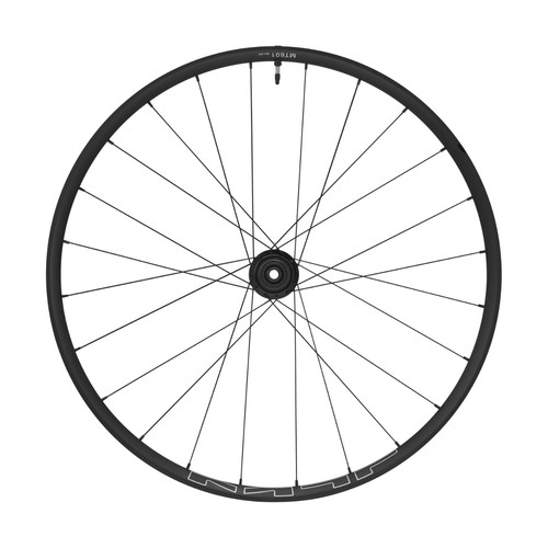 Ruota bici posteriore