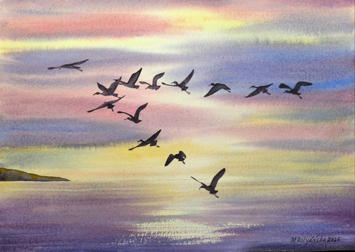 Berds flying cloudy - berds,