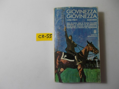 Libro romanzo giovinezza - libro,
