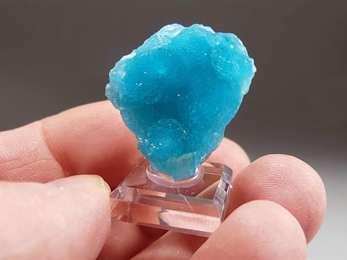 Crazy natural elettrico - crazy,