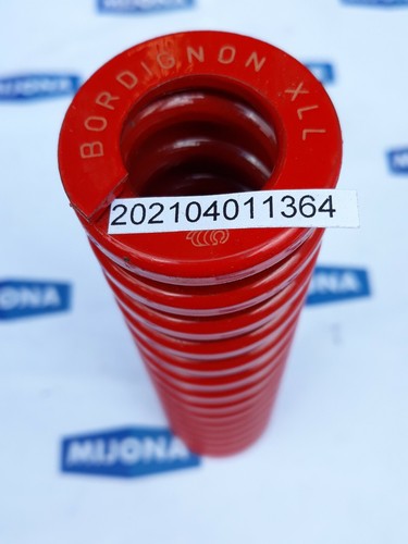 Molla bordignon - bordignon, xll