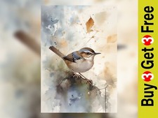 Natura delicata: pittura ad