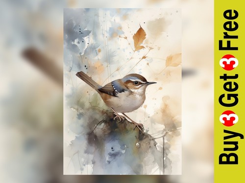 Natura delicata pittura - delicata:, ad