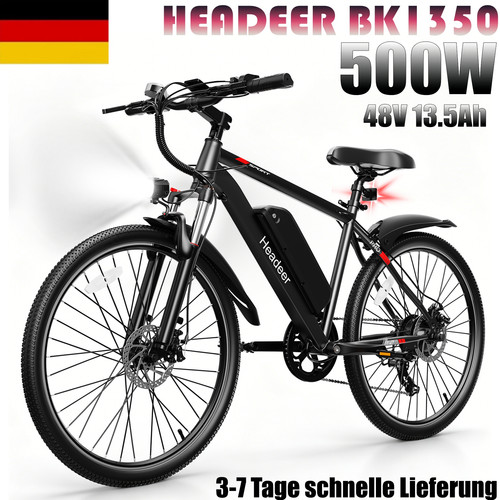 Biciclette elettriche zoll - 26,