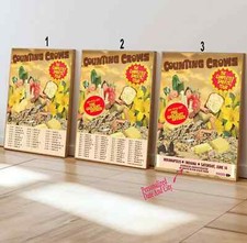 Poster Counting Crows